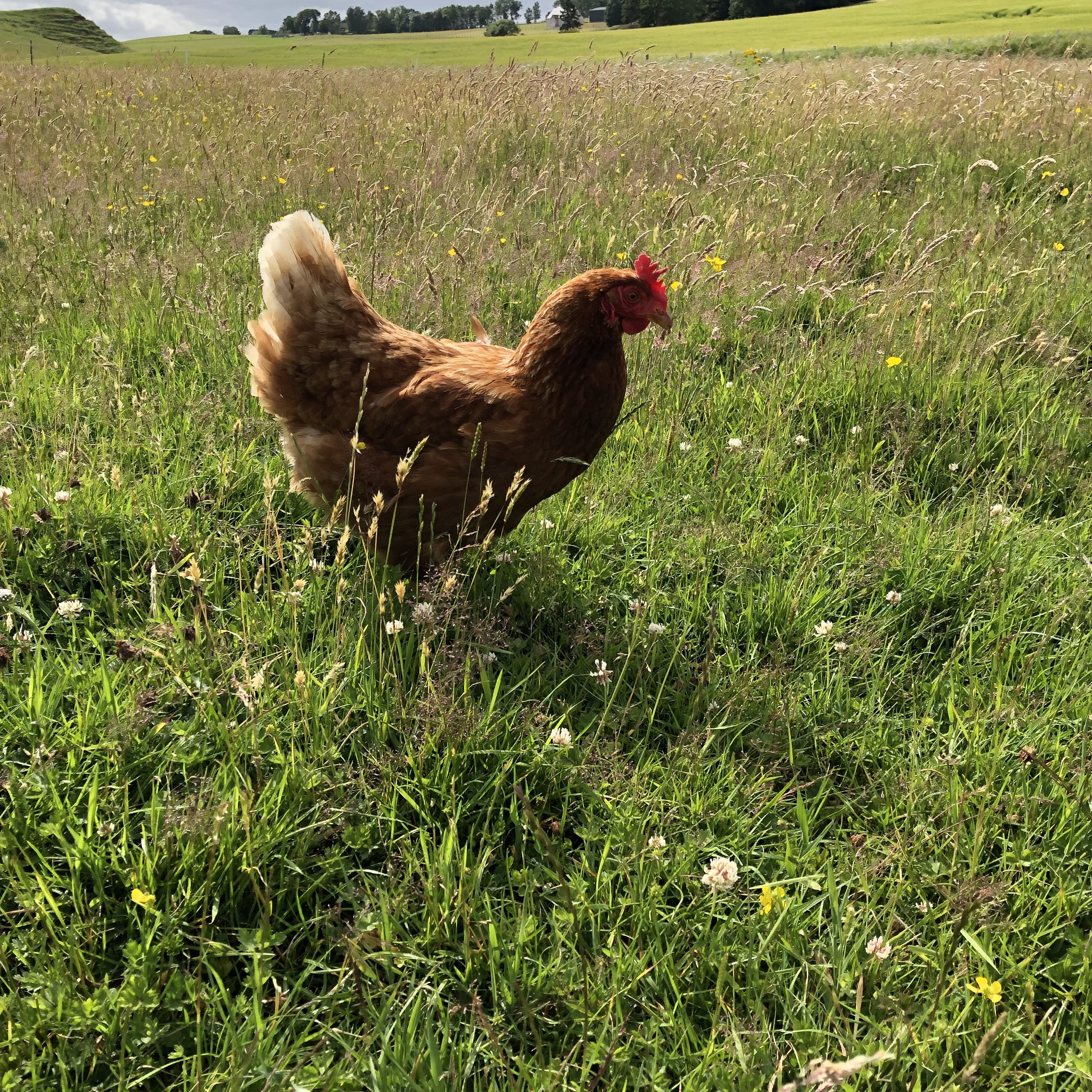 Agricology in the Field - Mike Mallett