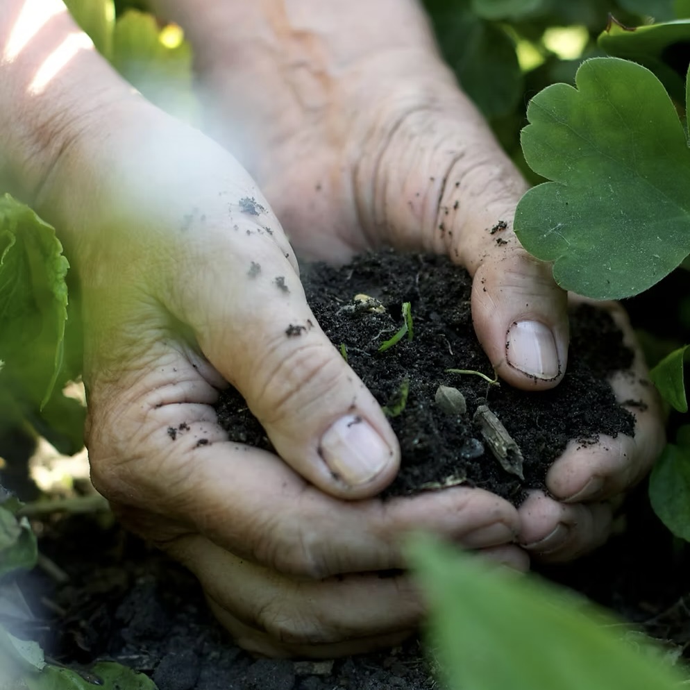 Agri Culture - Building A Life Of Health From The Ground Up: Steading & Co Family (Part 1)